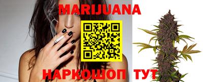 PSILOCYBIN Гусиноозёрск
