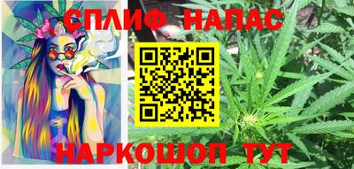 PSILOCYBIN Гусиноозёрск