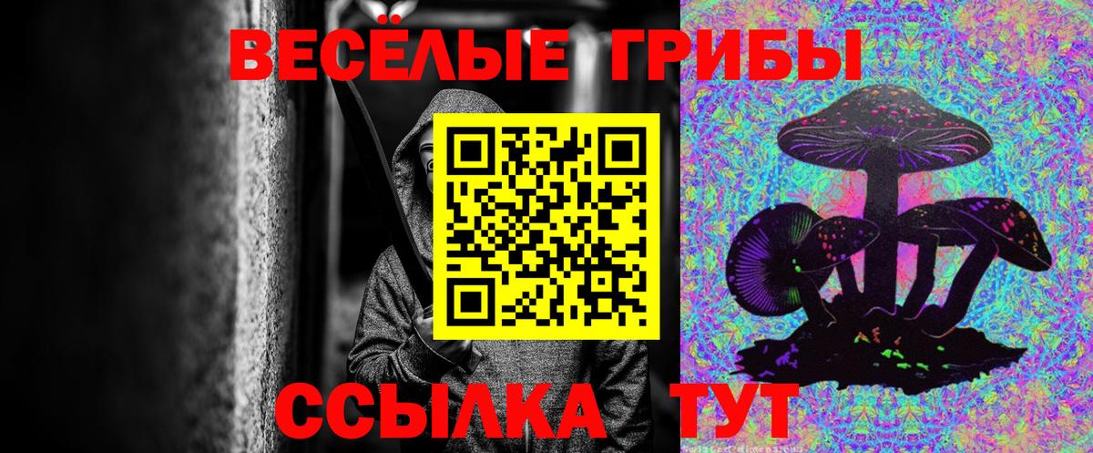 Псилоцибиновые грибы мицелий  Вход с VPN  Псилоцибиновые грибы мицелий  Новокуйбышевск 